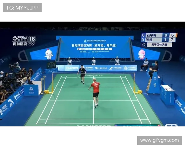 全运会精彩回顾南京羽毛球队默契配合展现团队实力与竞技精神